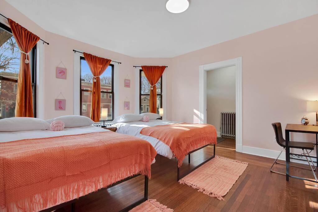Peachy Paradise In East Rock Near Dt/Yale New Haven Εξωτερικό φωτογραφία